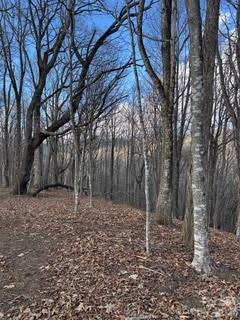 00 Mule Stomp Road Clyde NC 28721
