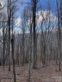 00 Mule Stomp Road Clyde NC 28721