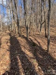 00 Mule Stomp Road Clyde NC 28721