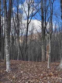 00 Mule Stomp Road Clyde NC 28721