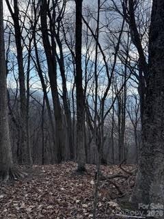00 Mule Stomp Road Clyde NC 28721