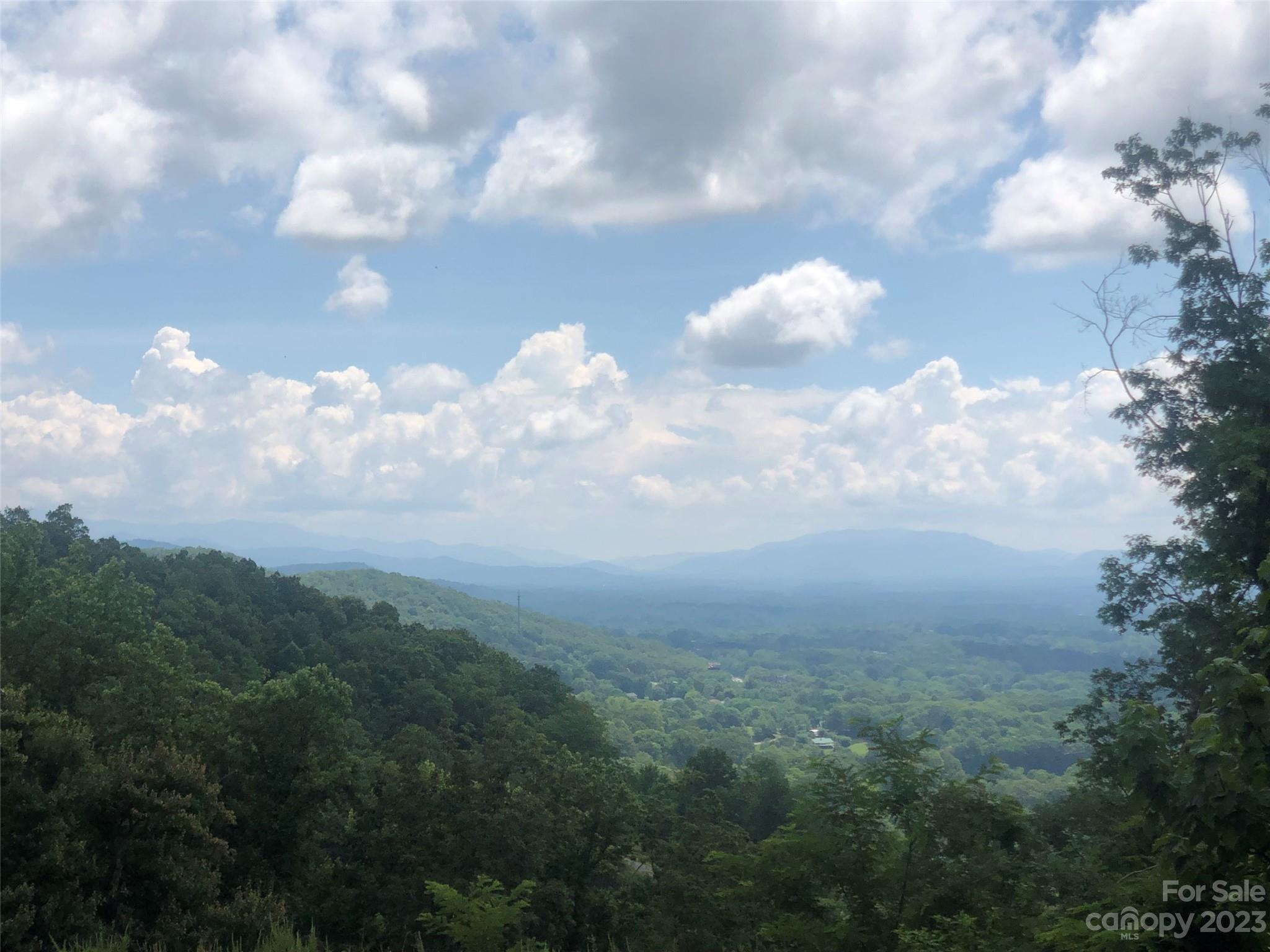 99999 Biltmore View Lane Candler NC 28715