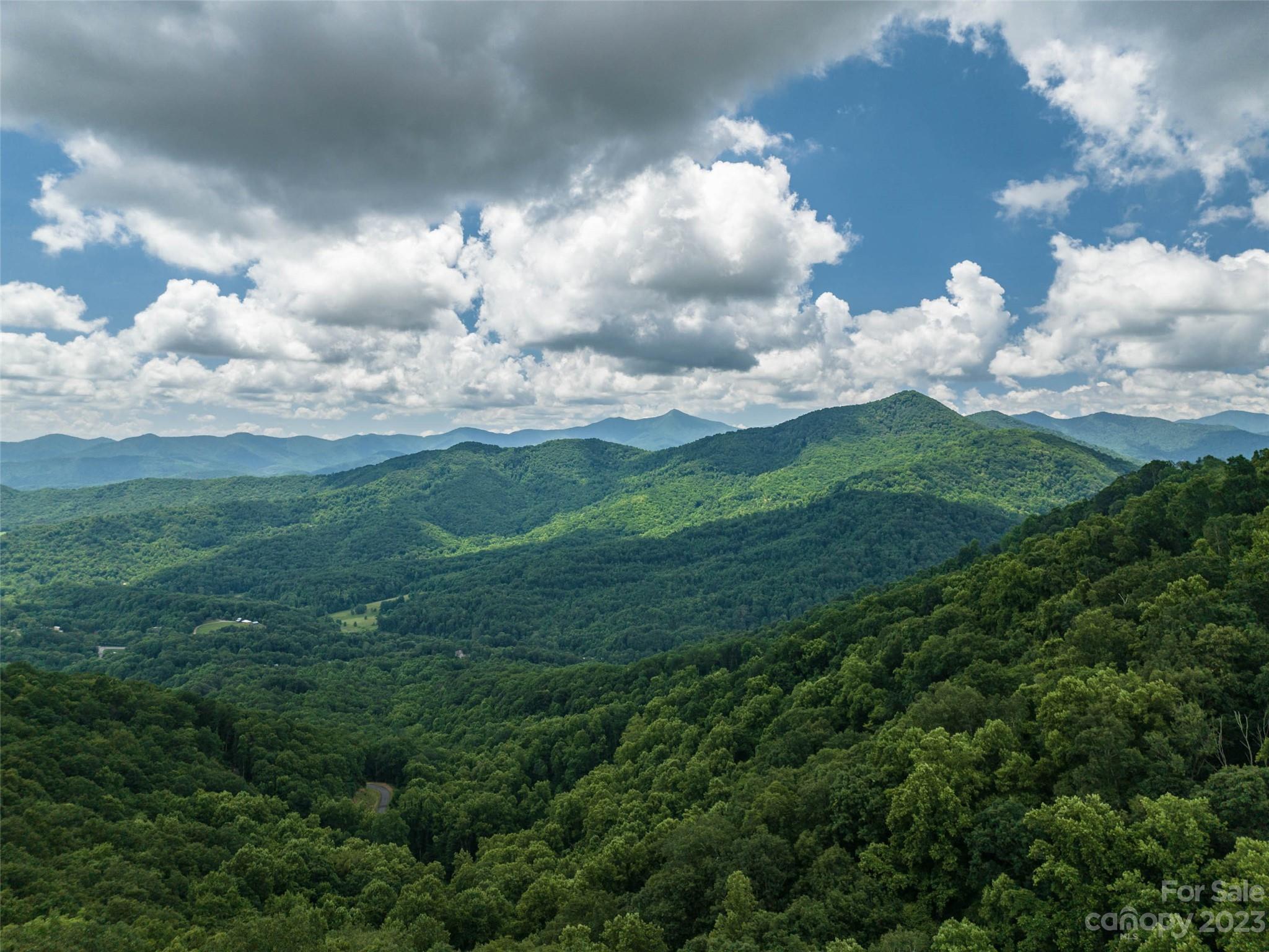 99999 Biltmore View Lane Candler NC 28715