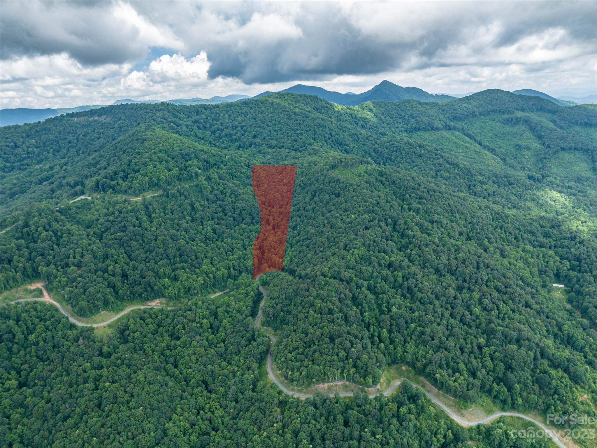 99999 Biltmore View Lane Candler NC 28715