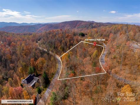 128 Pinnacle Peak Lane Flat Rock NC 28731