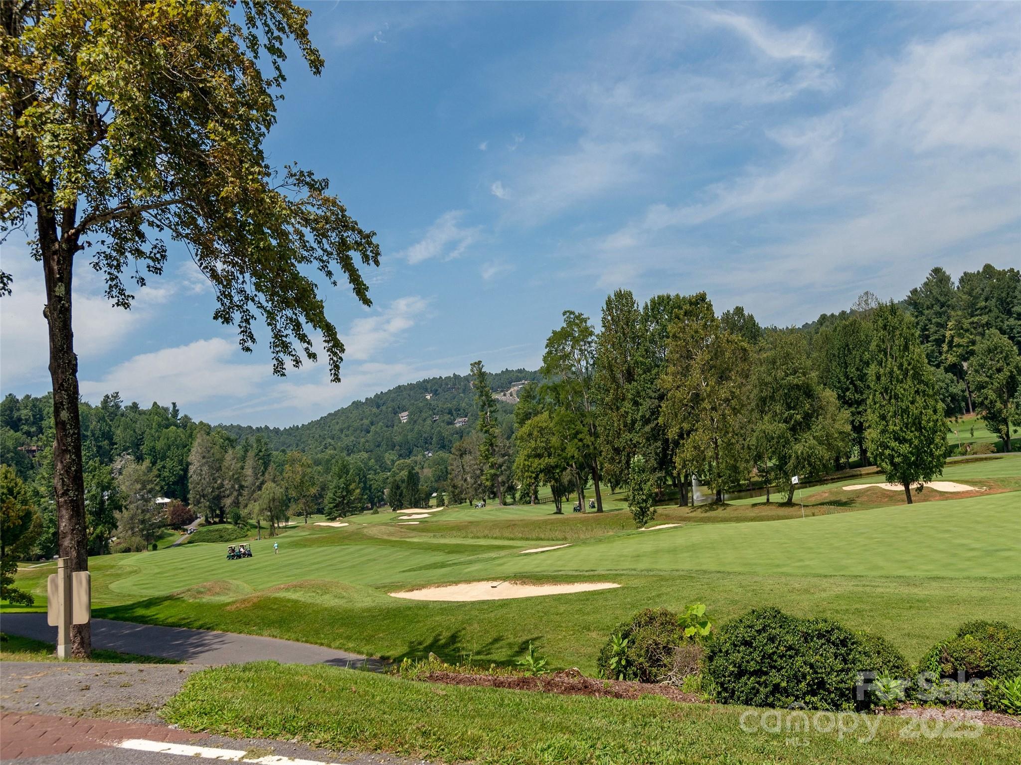 128 Pinnacle Peak Lane Flat Rock NC 28731