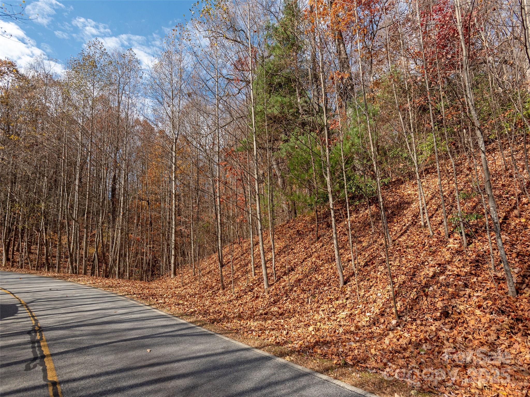 128 Pinnacle Peak Lane Flat Rock NC 28731