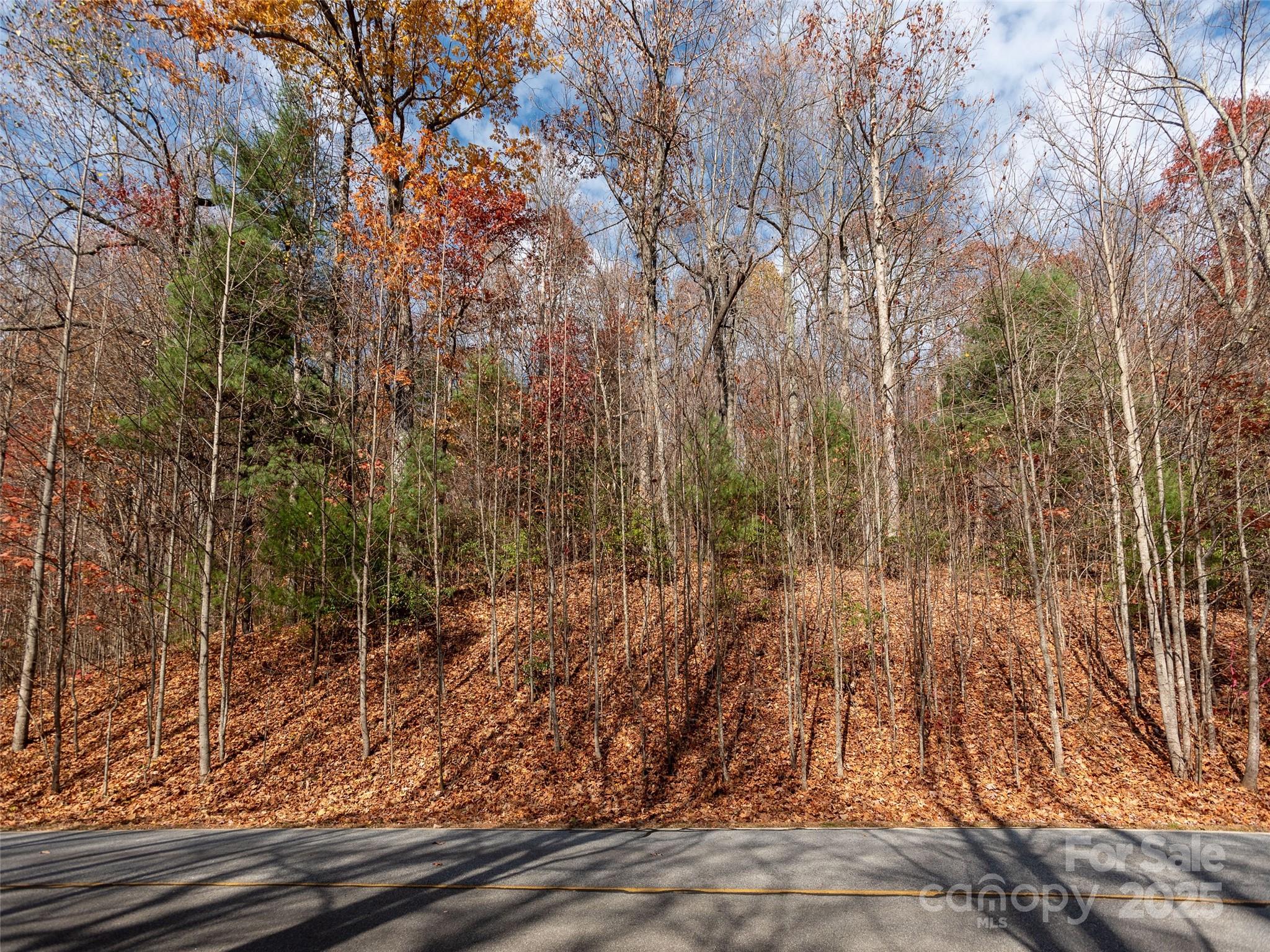 128 Pinnacle Peak Lane Flat Rock NC 28731