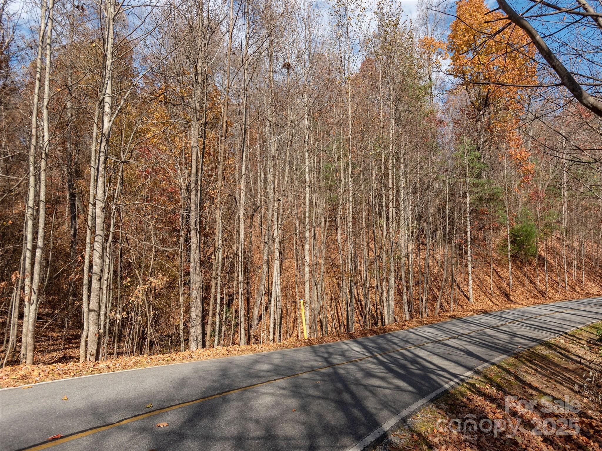 128 Pinnacle Peak Lane Flat Rock NC 28731