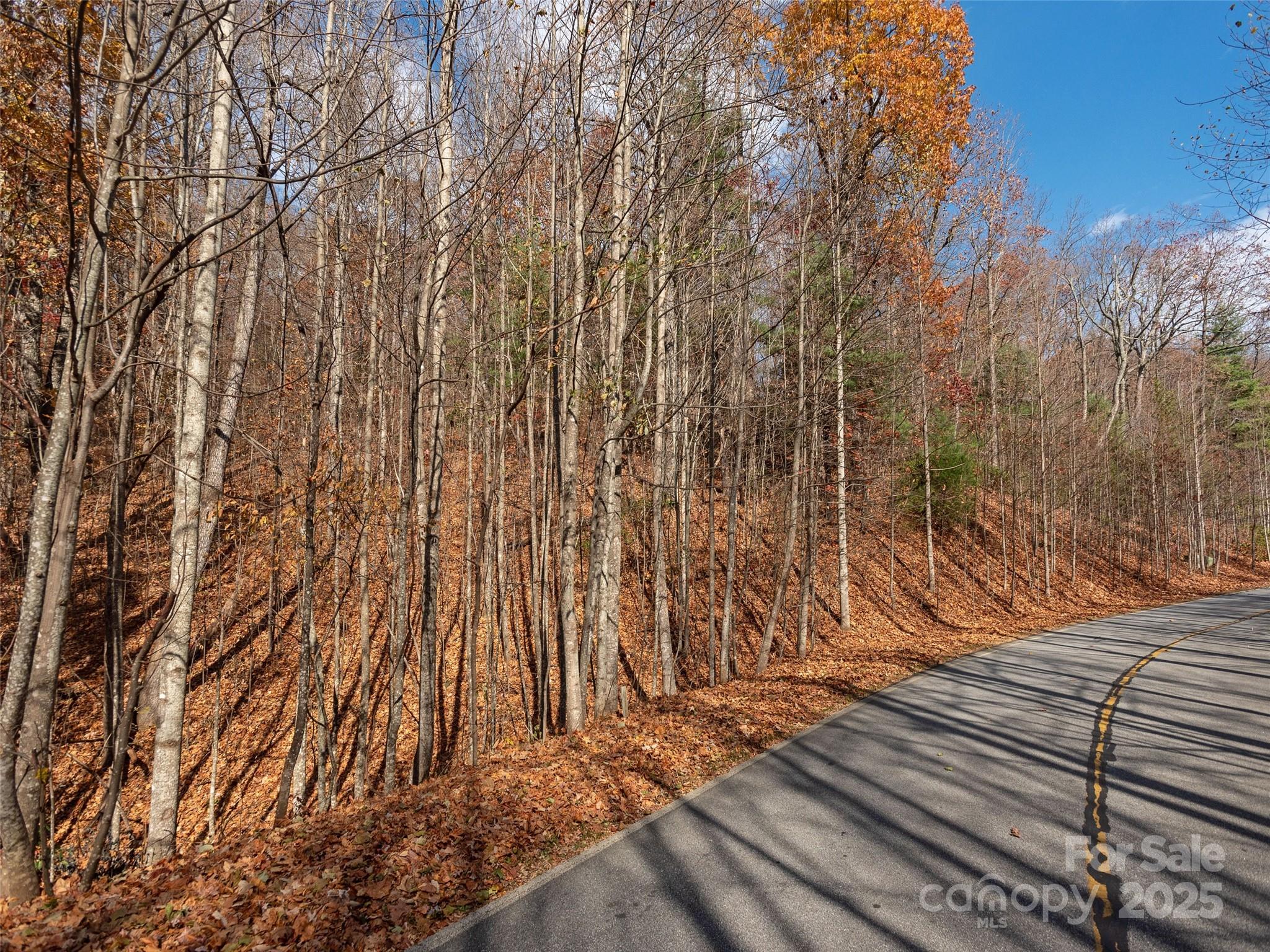 128 Pinnacle Peak Lane Flat Rock NC 28731