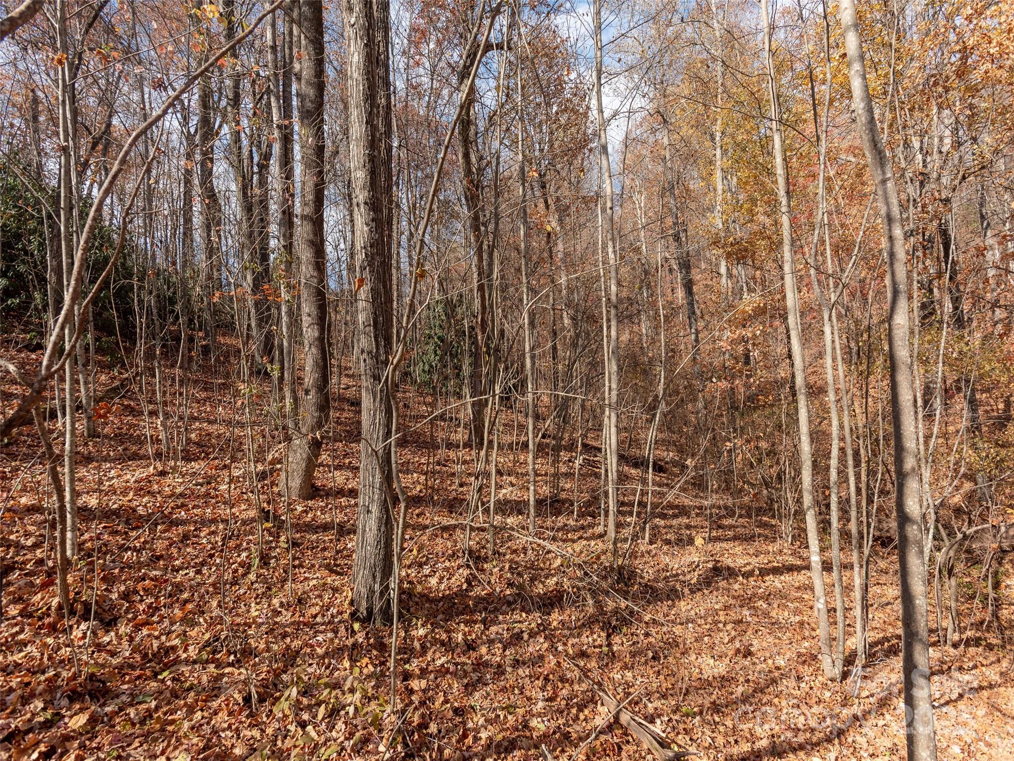 128 Pinnacle Peak Lane Flat Rock NC 28731