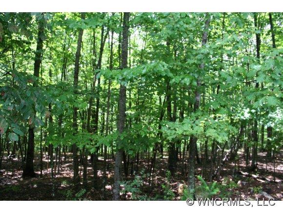 1236 Kanawa Lane Arden NC 28704