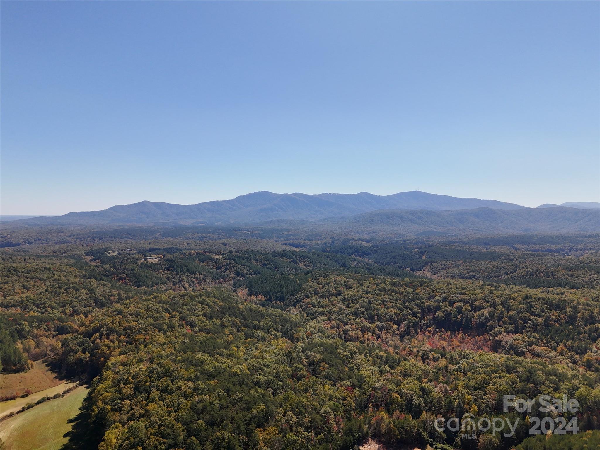 46.6 Acres Regan Jackson Road Mill Spring NC 28756