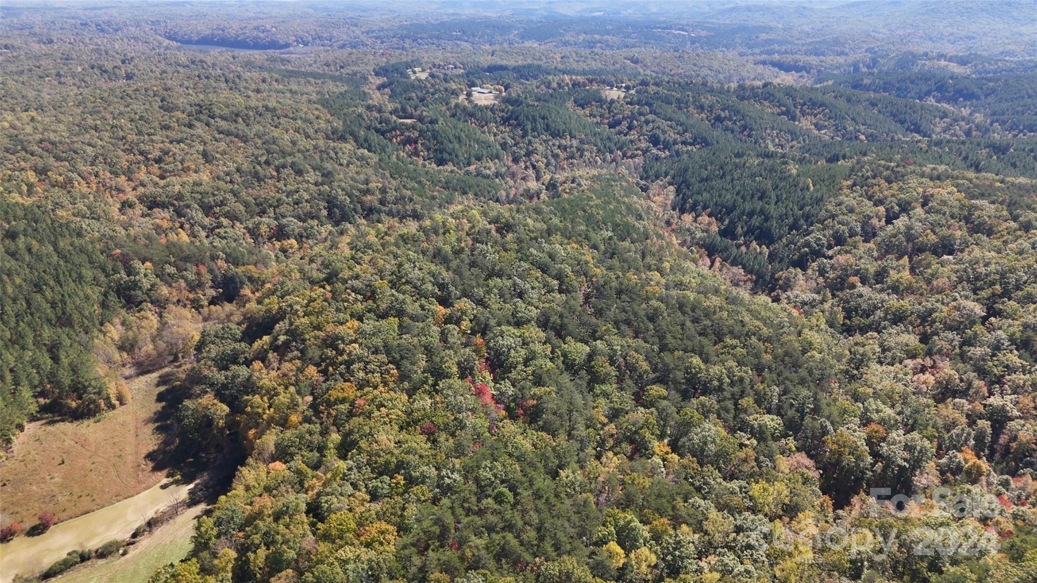 46.6 Acres Regan Jackson Road Mill Spring NC 28756