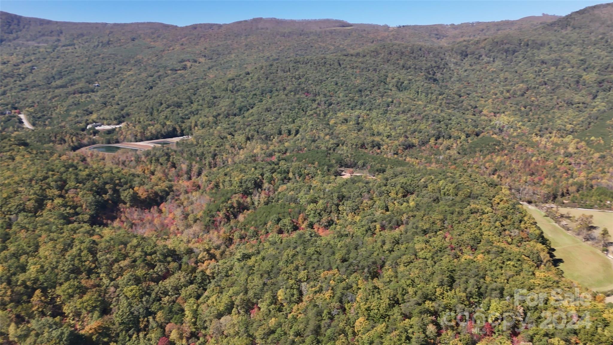 46.6 Acres Regan Jackson Road Mill Spring NC 28756