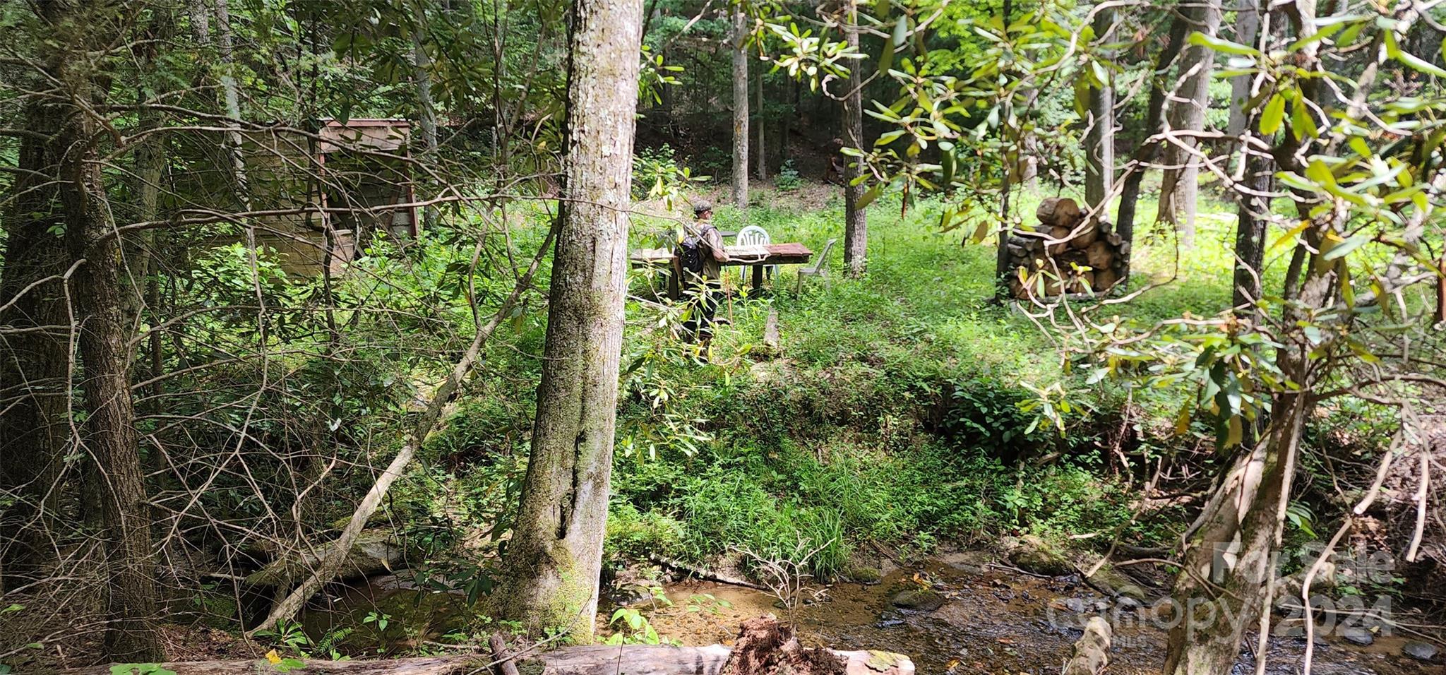 46.6 Acres Regan Jackson Road Mill Spring NC 28756