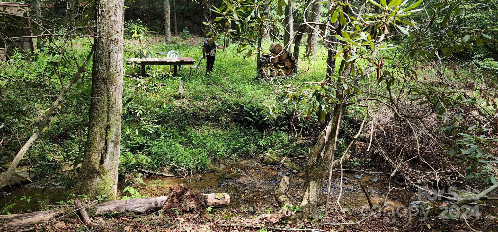 46.6 Acres Regan Jackson Road Mill Spring NC 28756