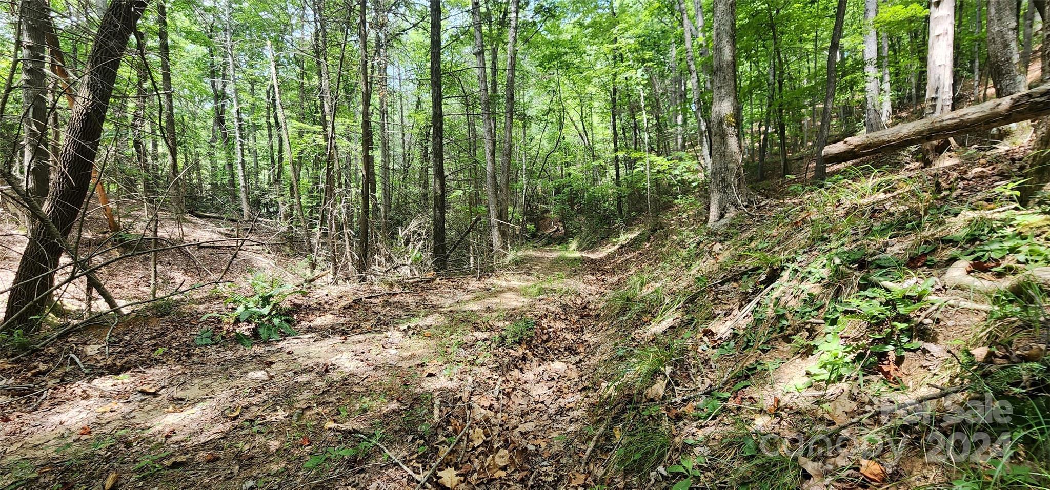 46.6 Acres Regan Jackson Road Mill Spring NC 28756