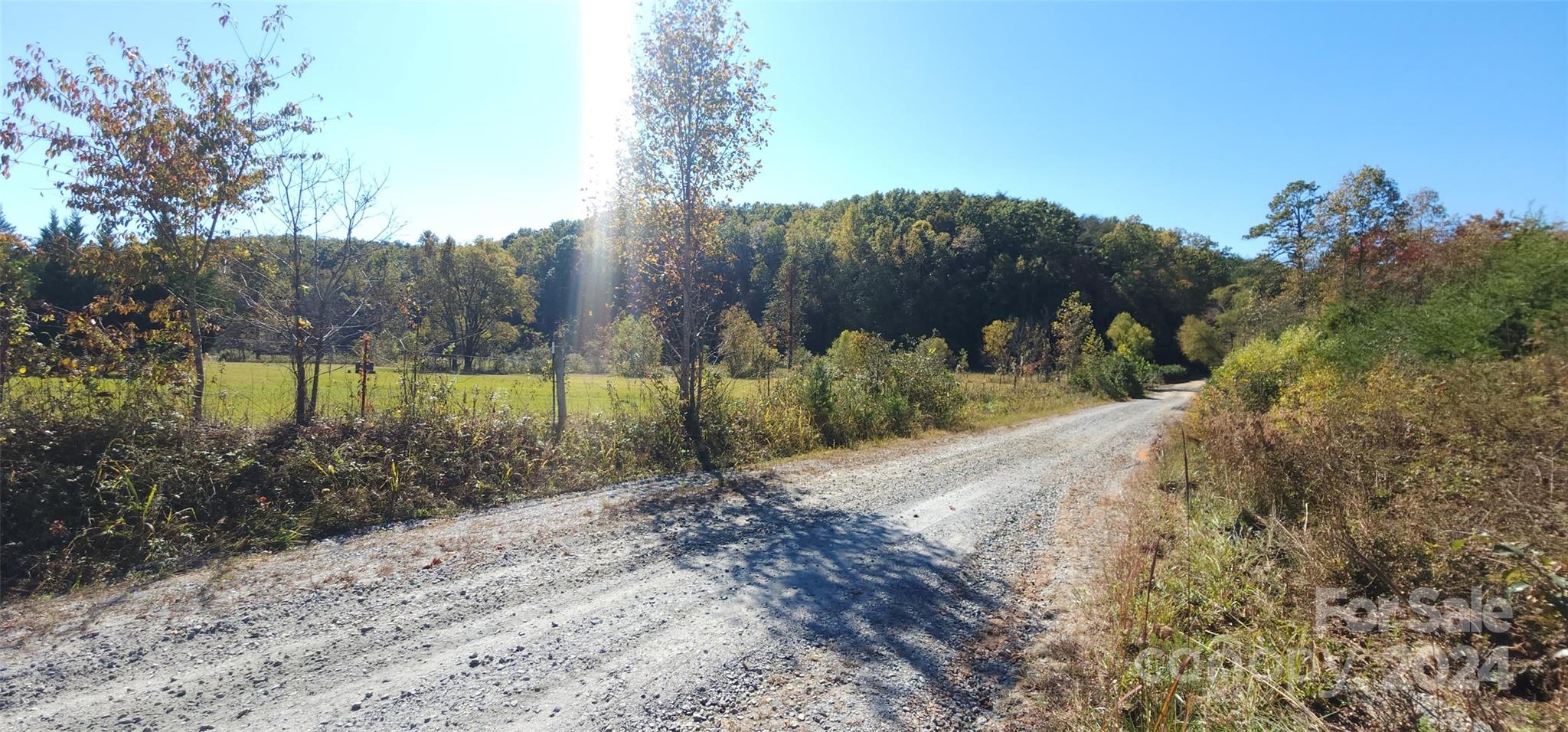 46.6 Acres Regan Jackson Road Mill Spring NC 28756