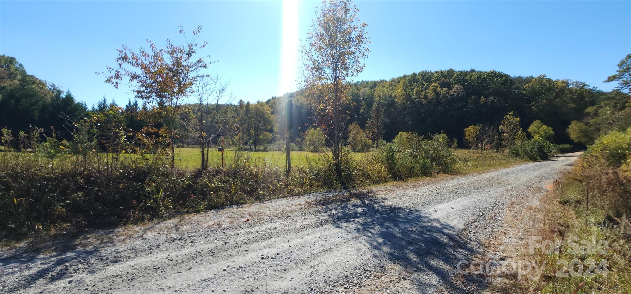 46.6 Acres Regan Jackson Road Mill Spring NC 28756
