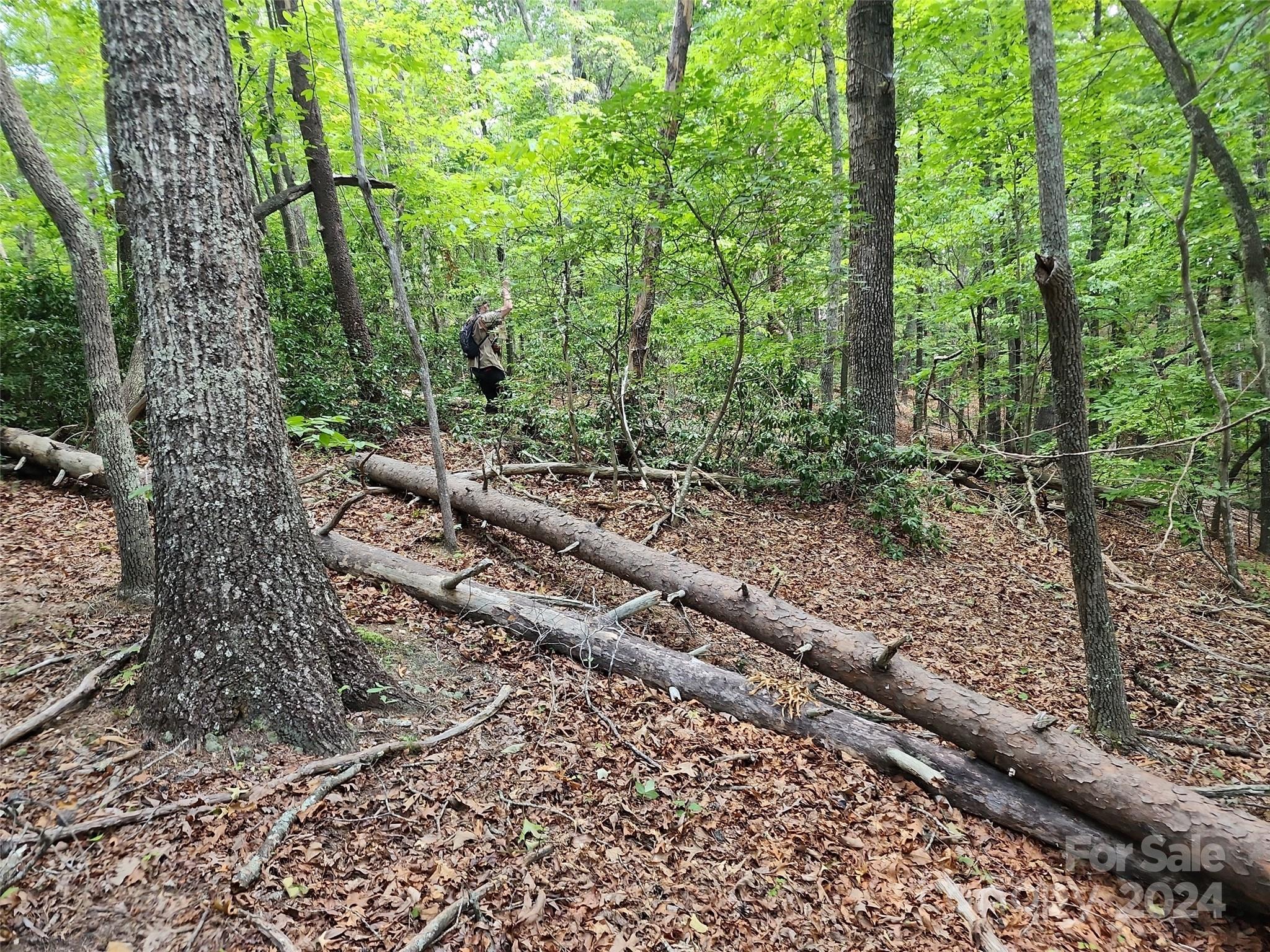 46.6 Acres Regan Jackson Road Mill Spring NC 28756