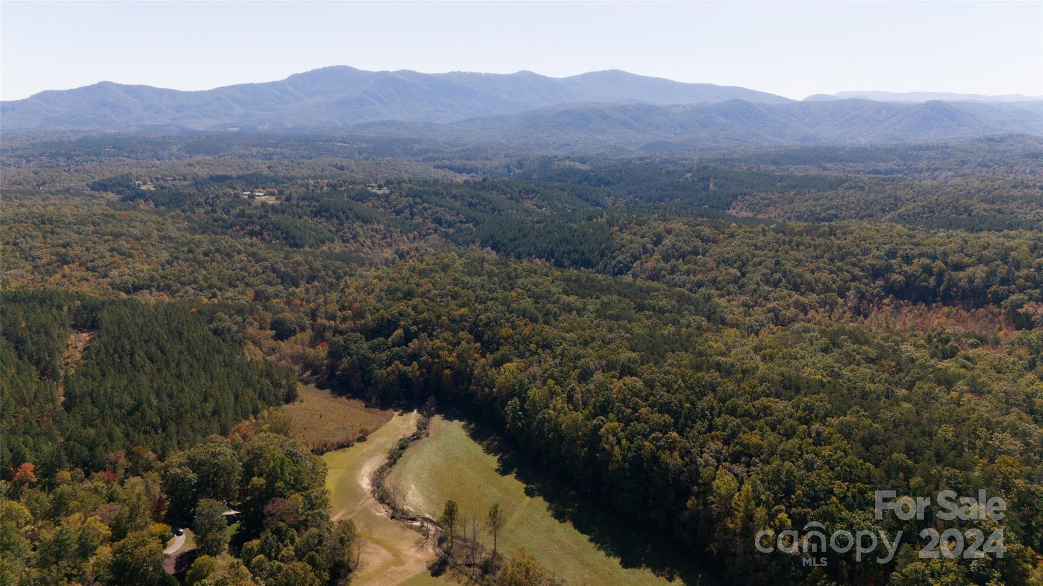 46.6 Acres Regan Jackson Road Mill Spring NC 28756