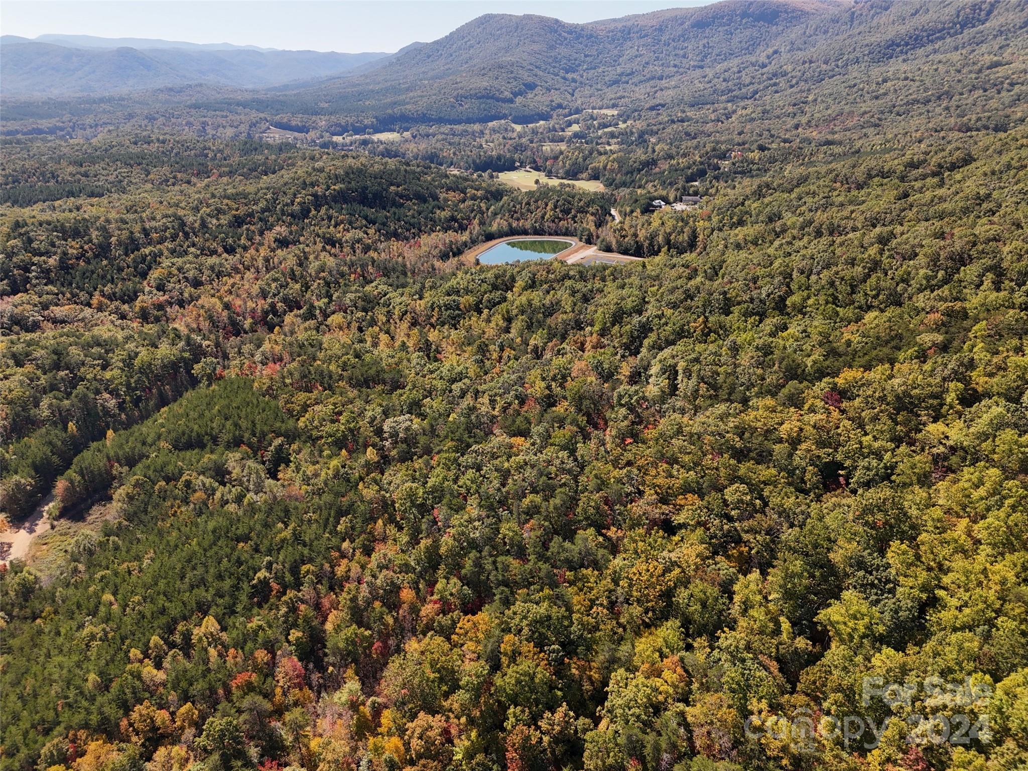 46.6 Acres Regan Jackson Road Mill Spring NC 28756