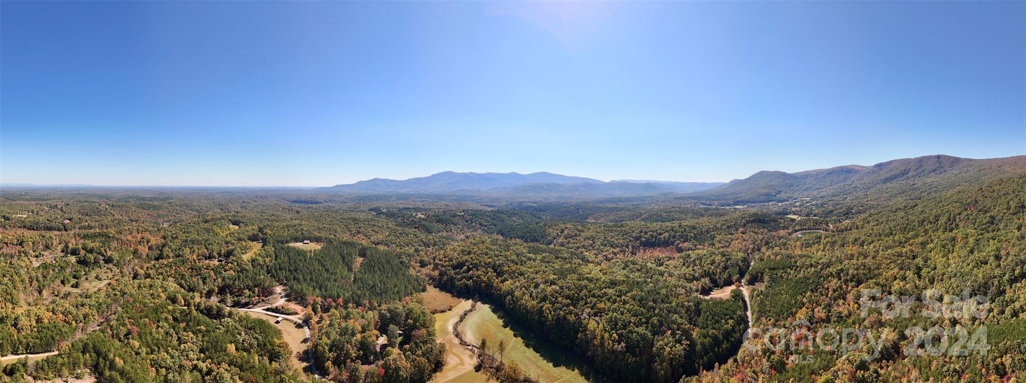 46.6 Acres Regan Jackson Road Mill Spring NC 28756