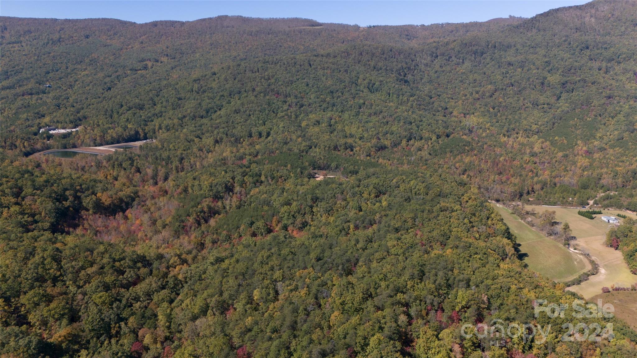 46.6 Acres Regan Jackson Road Mill Spring NC 28756