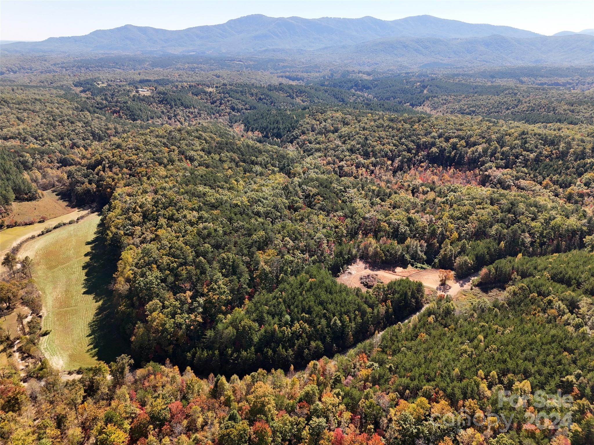 46.6 Acres Regan Jackson Road Mill Spring NC 28756