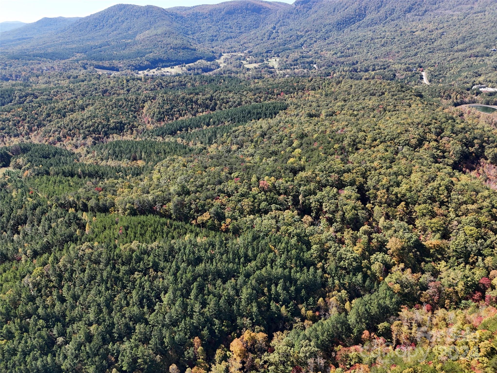 46.6 Acres Regan Jackson Road Mill Spring NC 28756