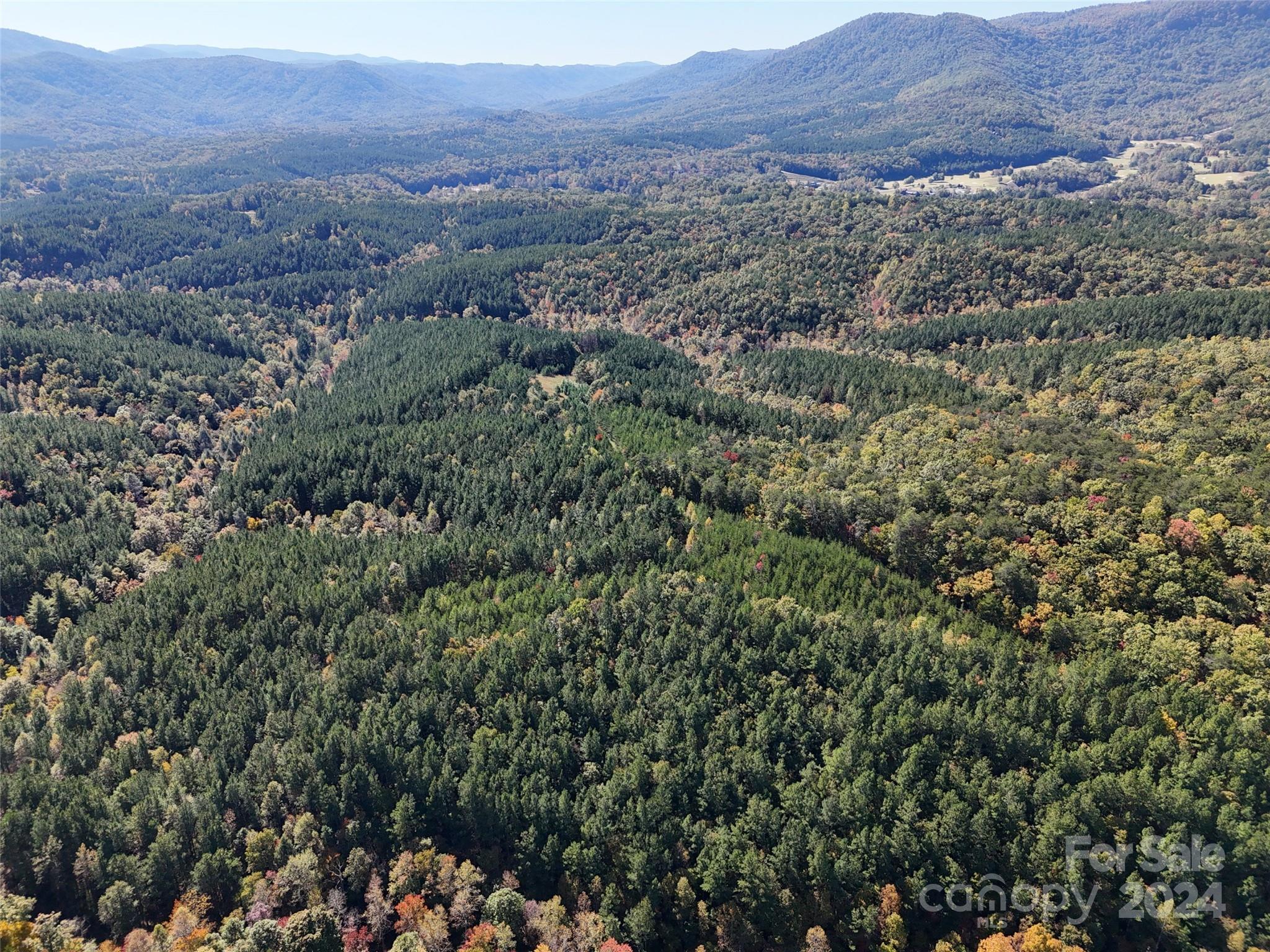 46.6 Acres Regan Jackson Road Mill Spring NC 28756