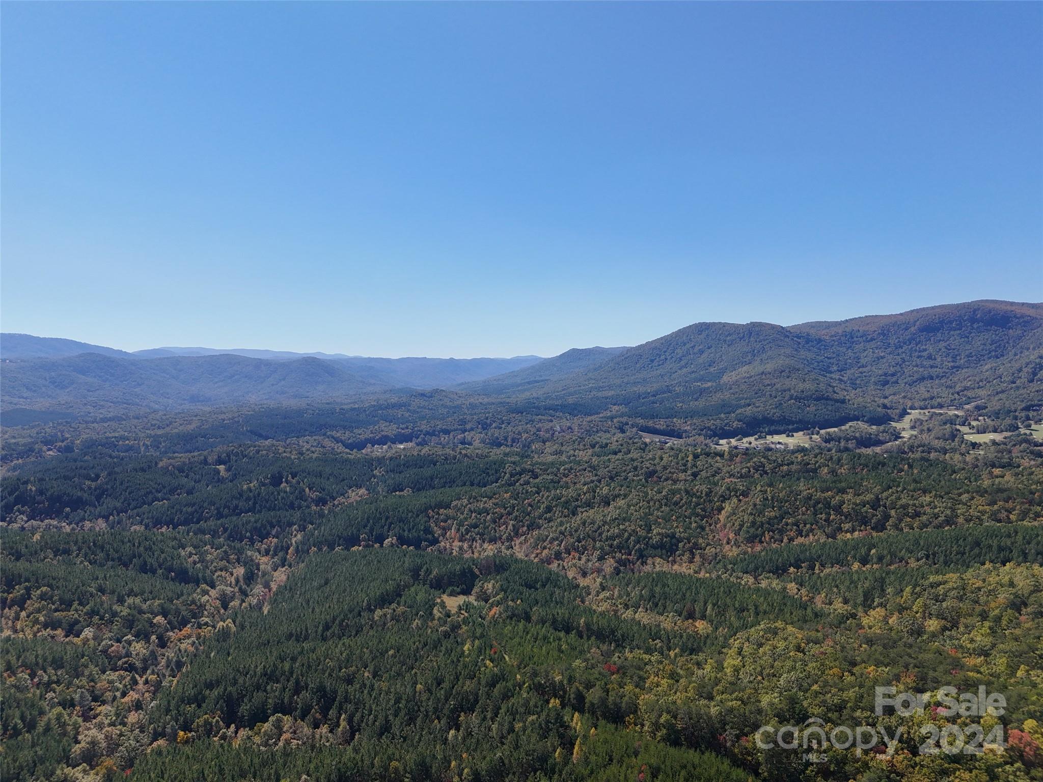 46.6 Acres Regan Jackson Road Mill Spring NC 28756
