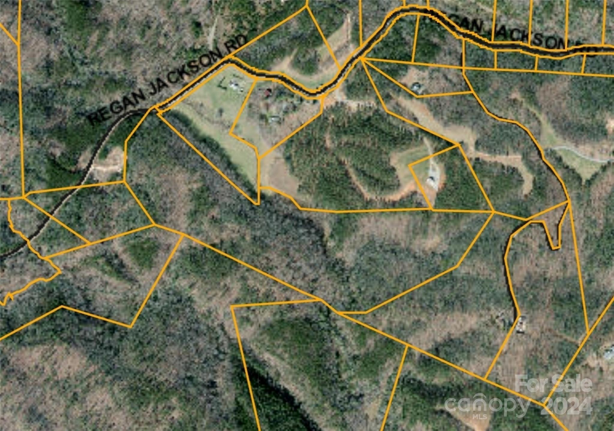 46.6 Acres Regan Jackson Road Mill Spring NC 28756