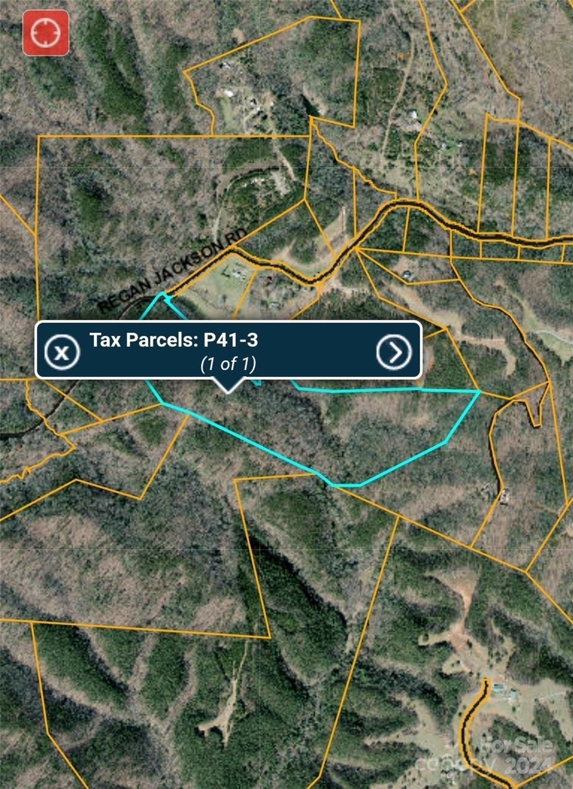 46.6 Acres Regan Jackson Road Mill Spring NC 28756