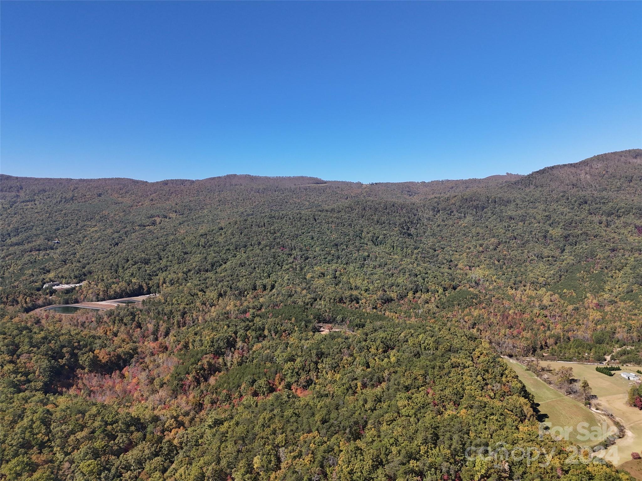 46.6 Acres Regan Jackson Road Mill Spring NC 28756