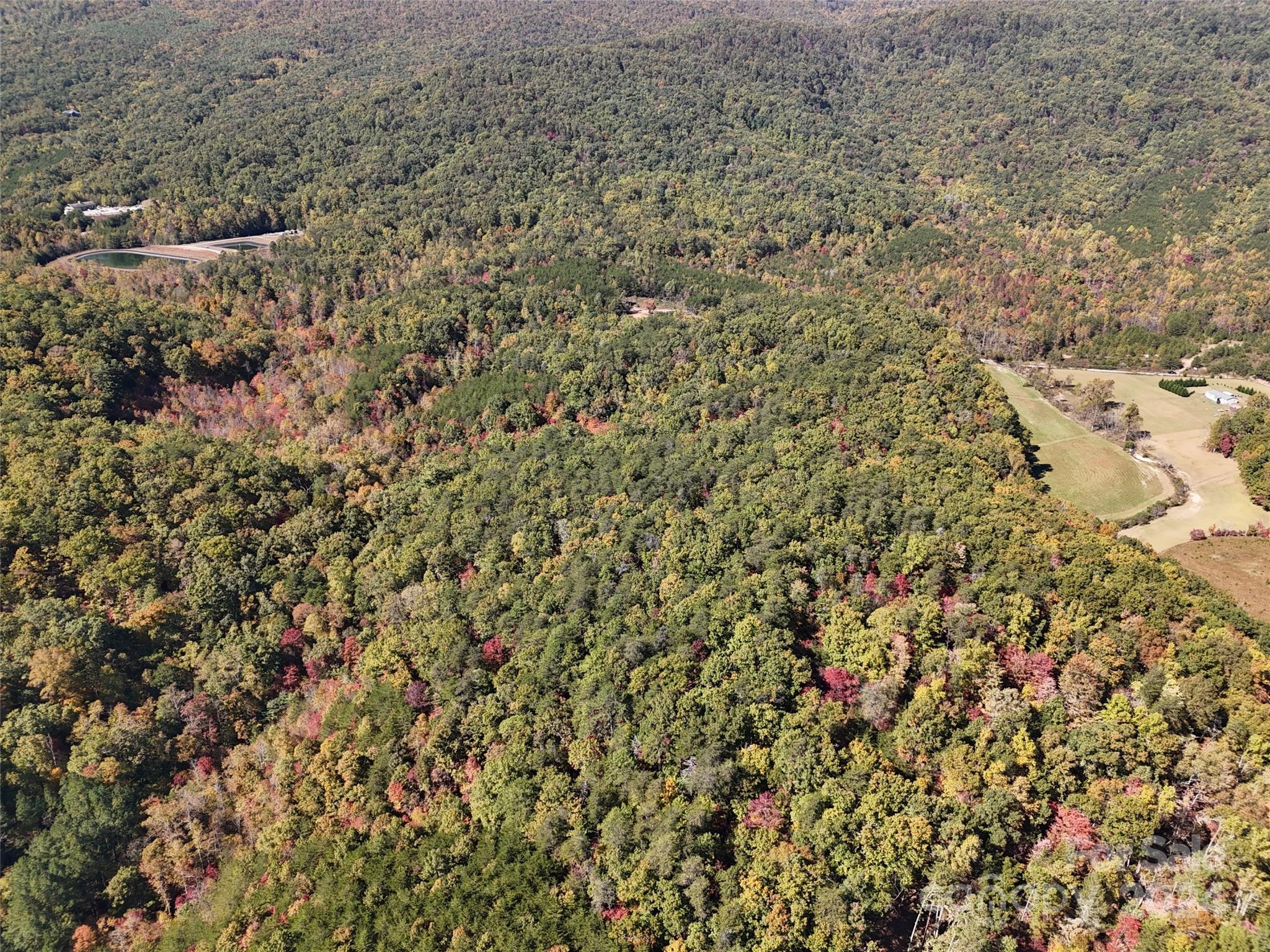 46.6 Acres Regan Jackson Road Mill Spring NC 28756