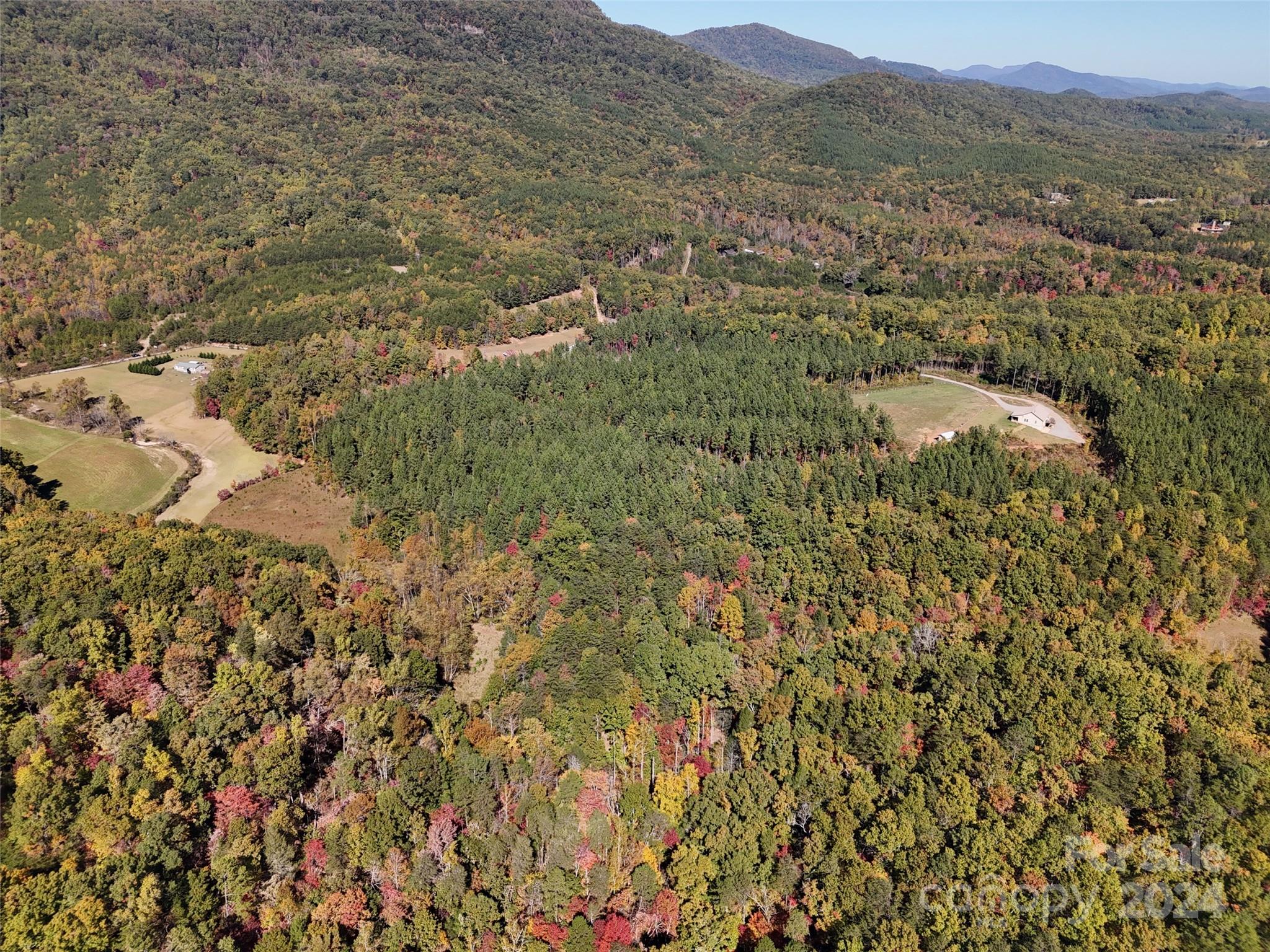 46.6 Acres Regan Jackson Road Mill Spring NC 28756