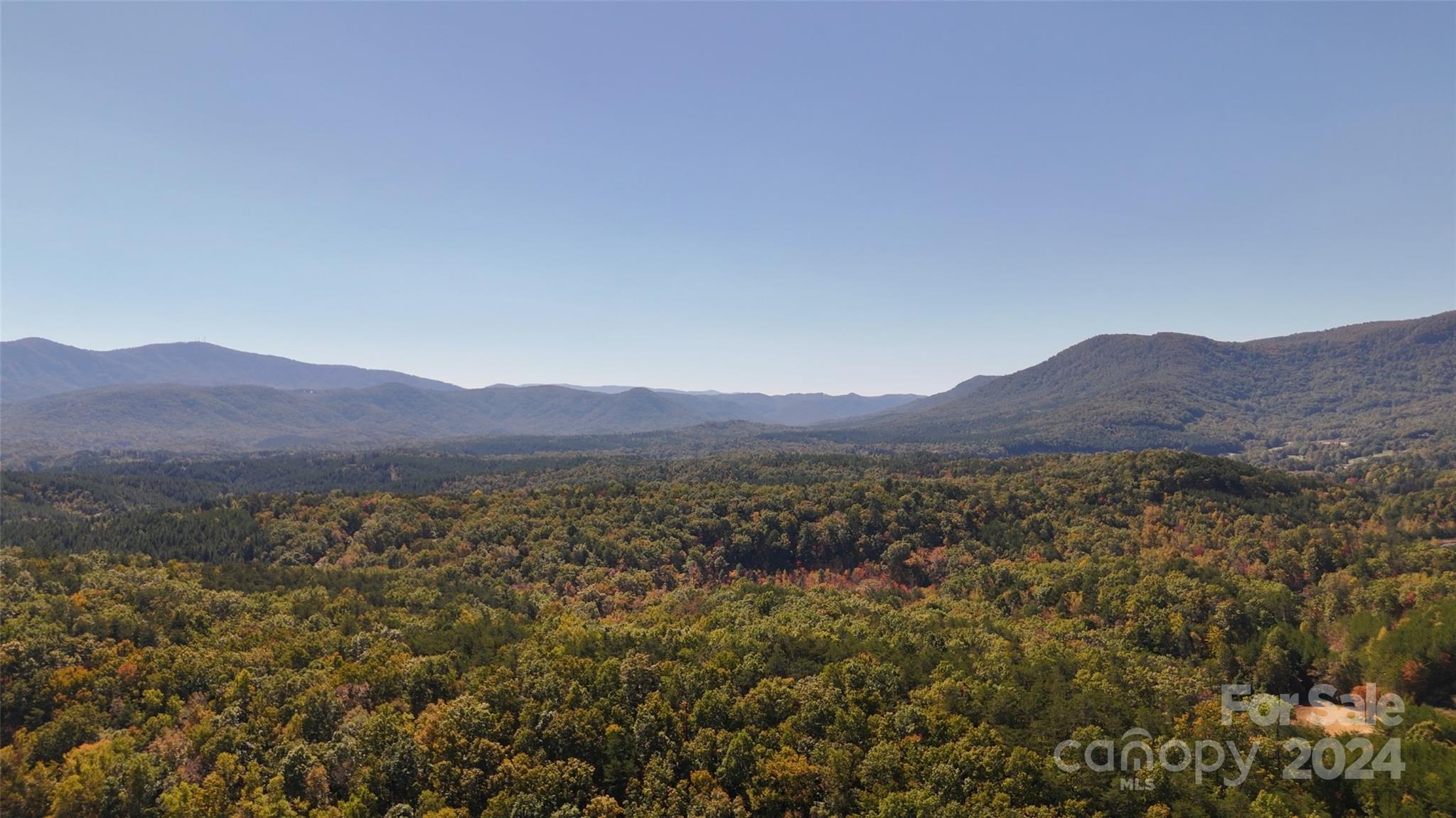 46.6 Acres Regan Jackson Road Mill Spring NC 28756