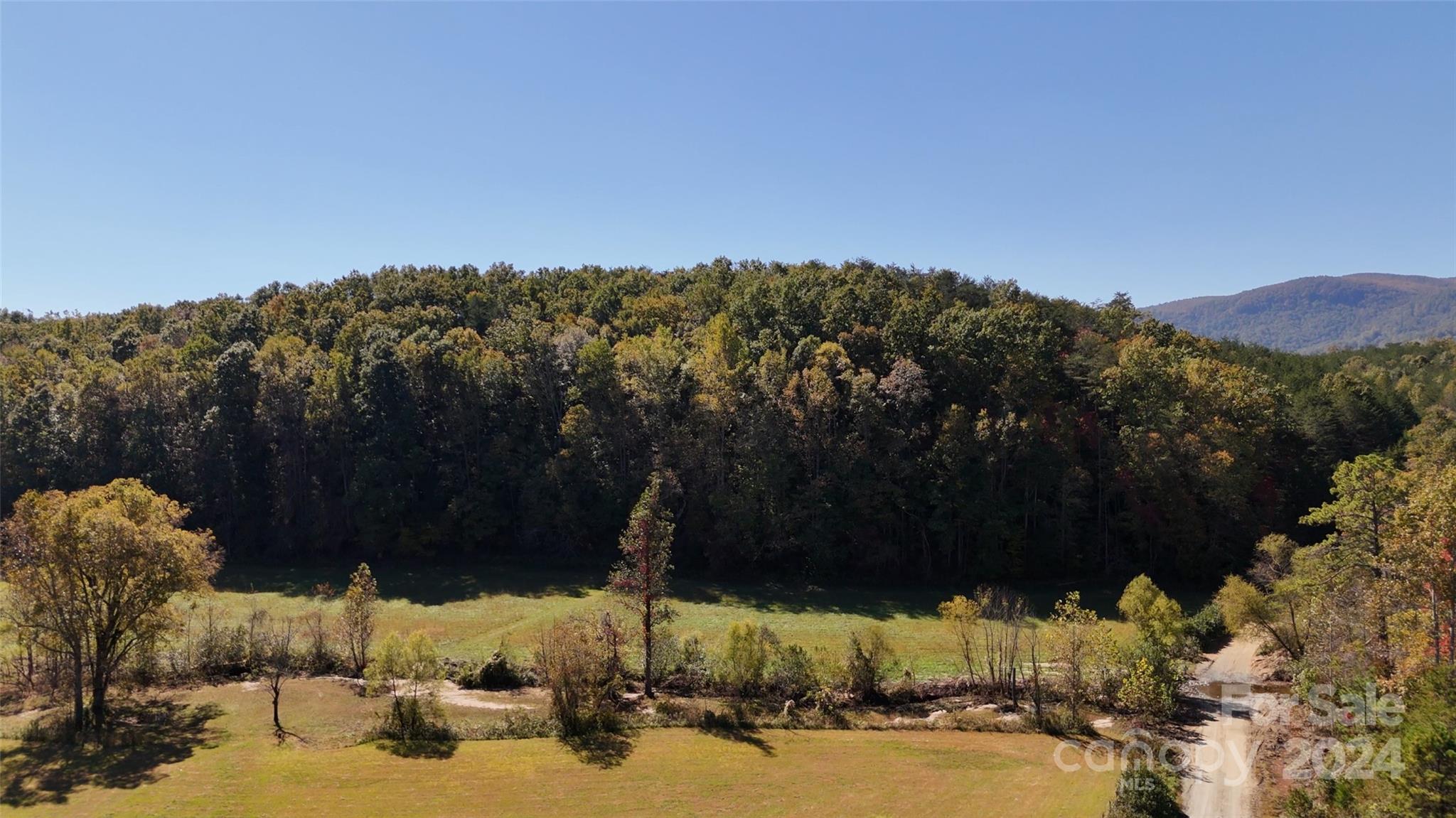 46.6 Acres Regan Jackson Road Mill Spring NC 28756