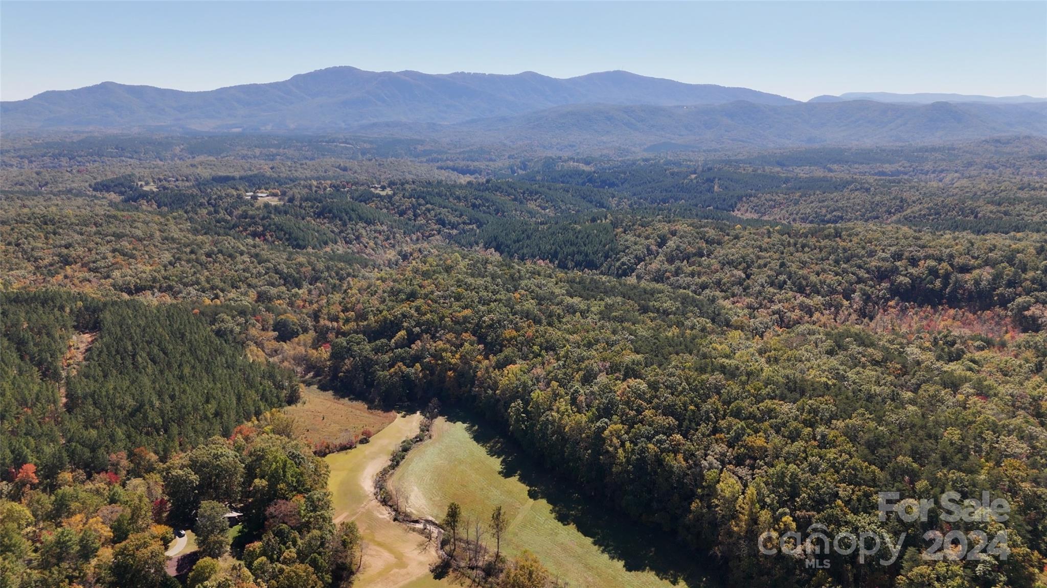 46.6 Acres Regan Jackson Road Mill Spring NC 28756