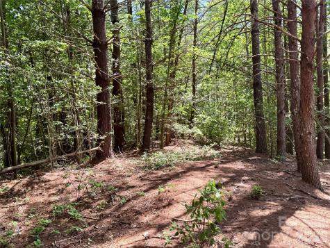 Lot 104 Johns Ridge Parkway Lenoir NC 28645