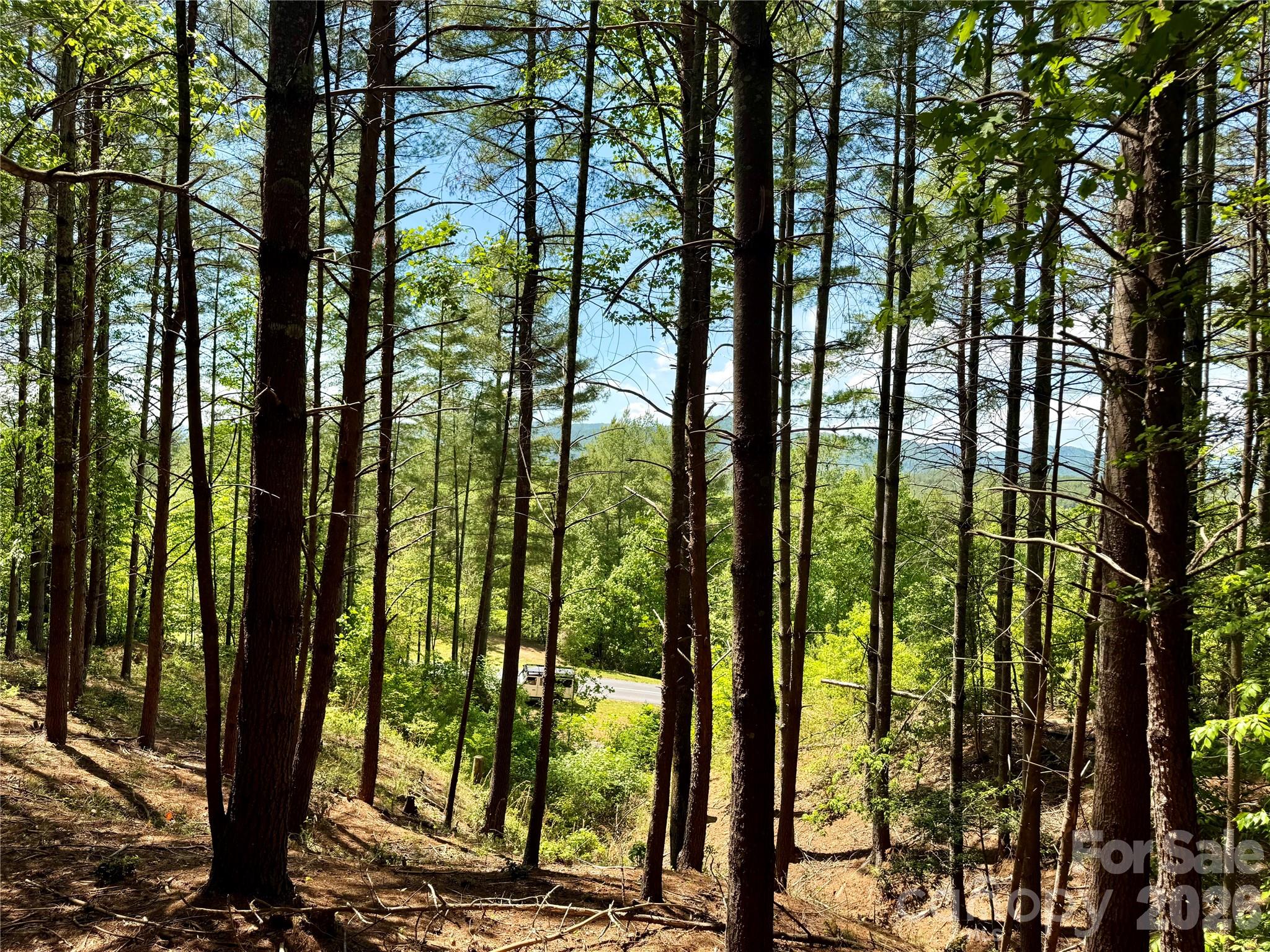 Lot 104 Johns Ridge Parkway Lenoir NC 28645