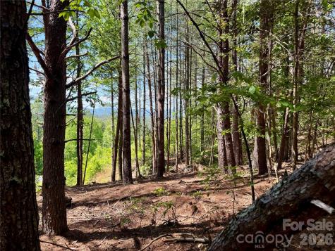 Lot 104 Johns Ridge Parkway Lenoir NC 28645