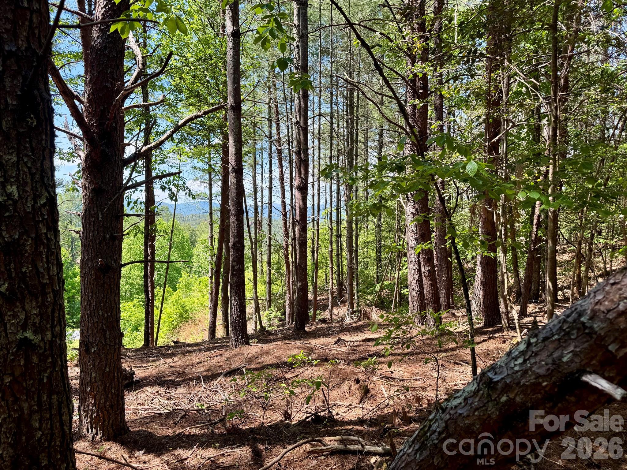 Lot 104 Johns Ridge Parkway Lenoir NC 28645