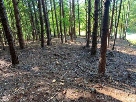 Lot 104 Johns Ridge Parkway Lenoir NC 28645