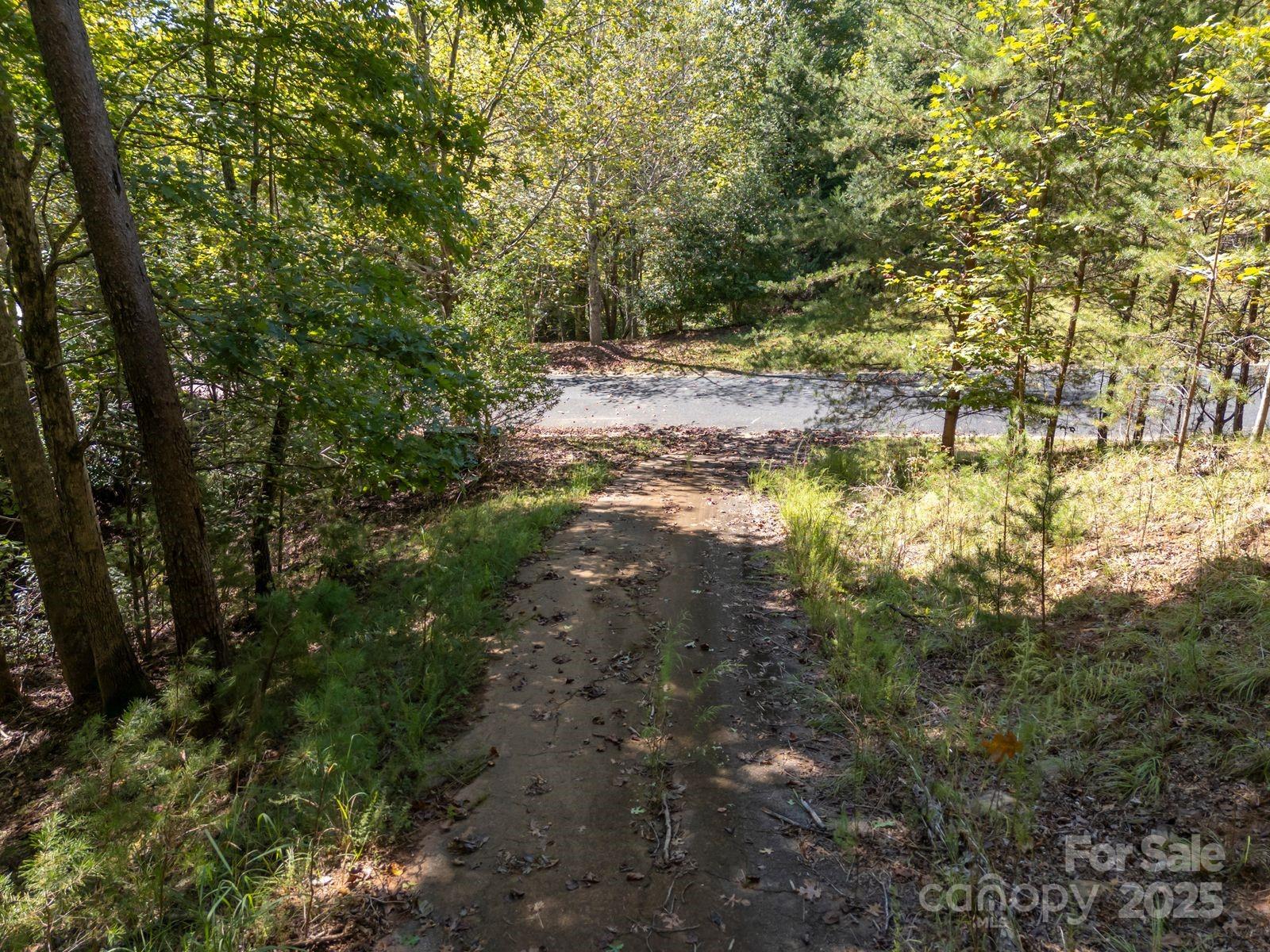 0 Mountain Parkway Mill Spring NC 28756