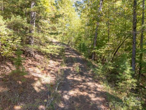 0 Mountain Parkway Mill Spring NC 28756