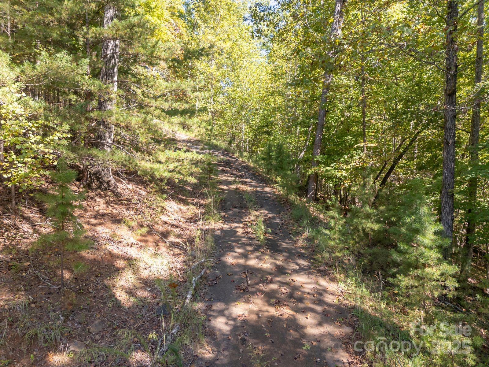 0 Mountain Parkway Mill Spring NC 28756