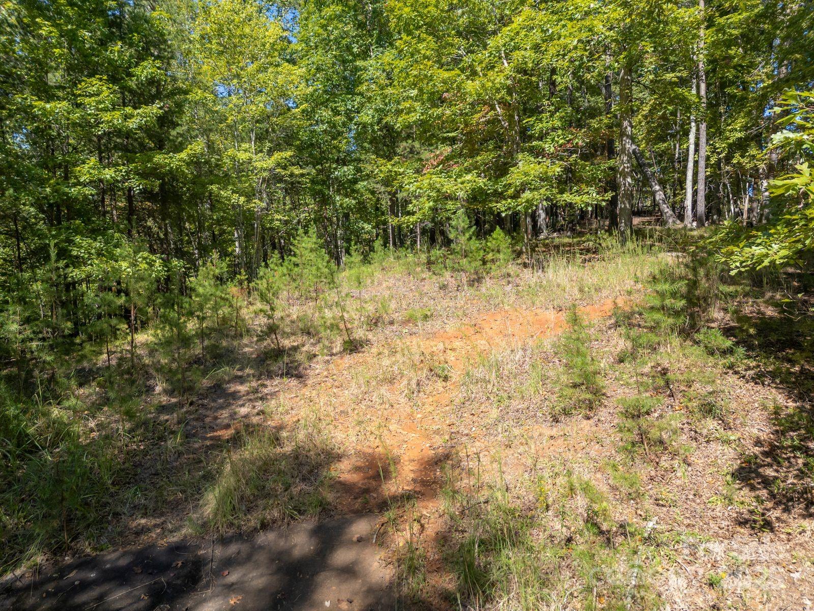 0 Mountain Parkway Mill Spring NC 28756